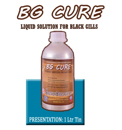 B.G CURE - LIQUID SOLUTION FOR BLACK GILLS